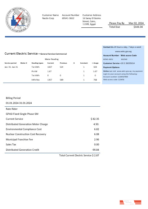 Egypt Egyptian Electricity business utility bill template in Word and pdf formats